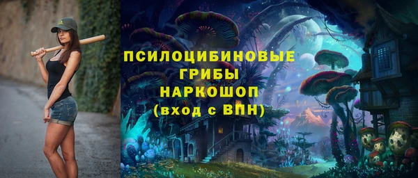 мескалин Няндома