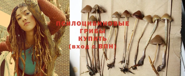 мескалин Няндома