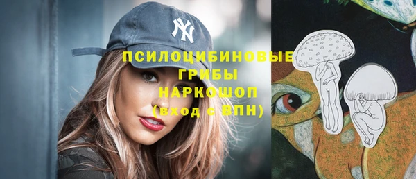 мескалин Няндома