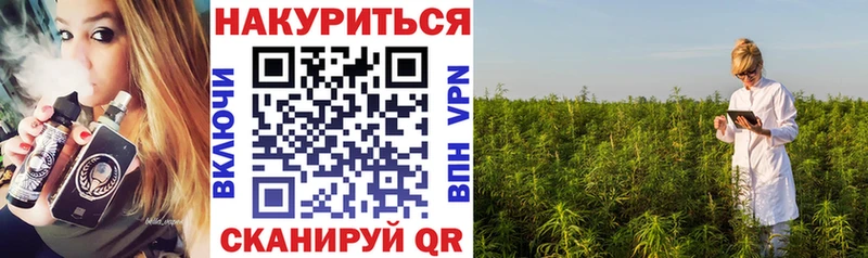 где найти наркотики  Чкаловск  Бошки марихуана гибрид 